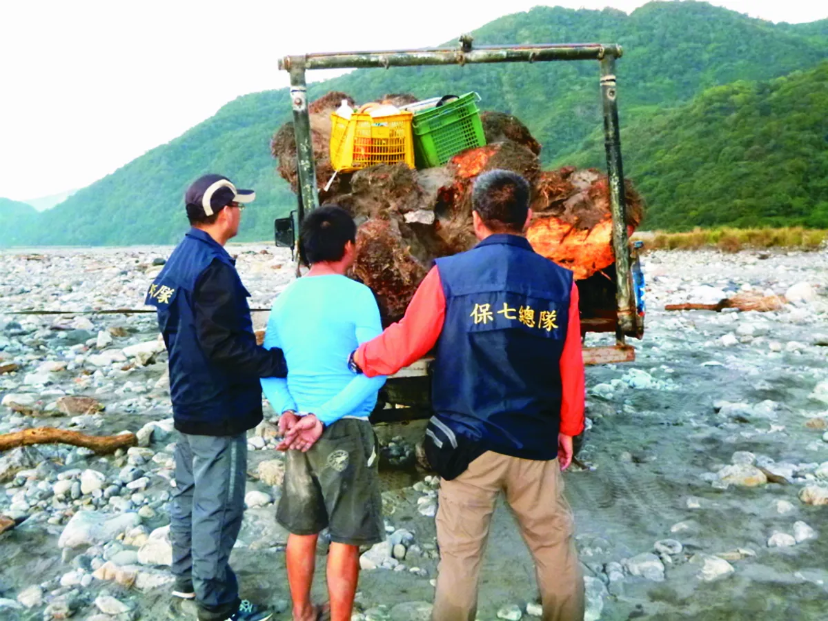 警察抓山老鼠 破案靠真功夫