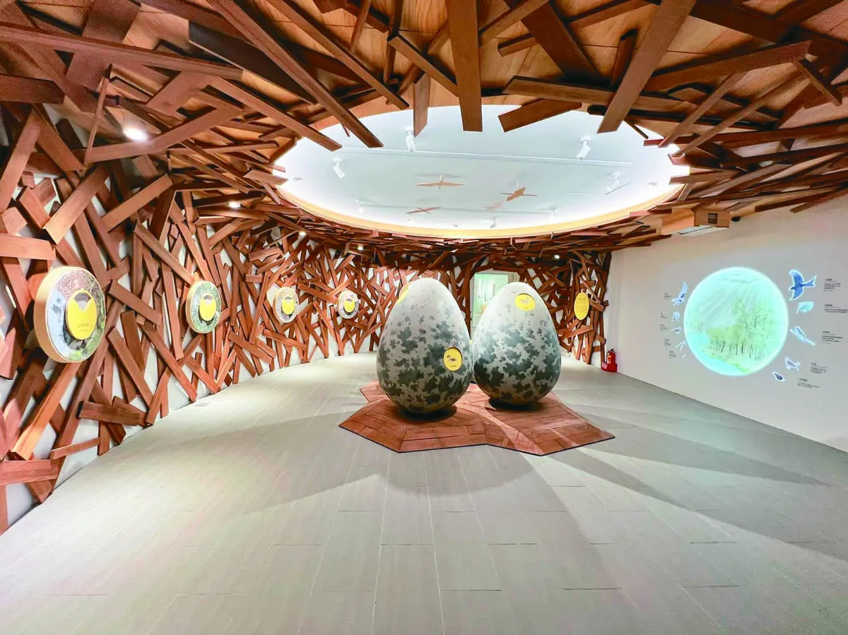 鰲鼓野鳥天堂   看見自然律動