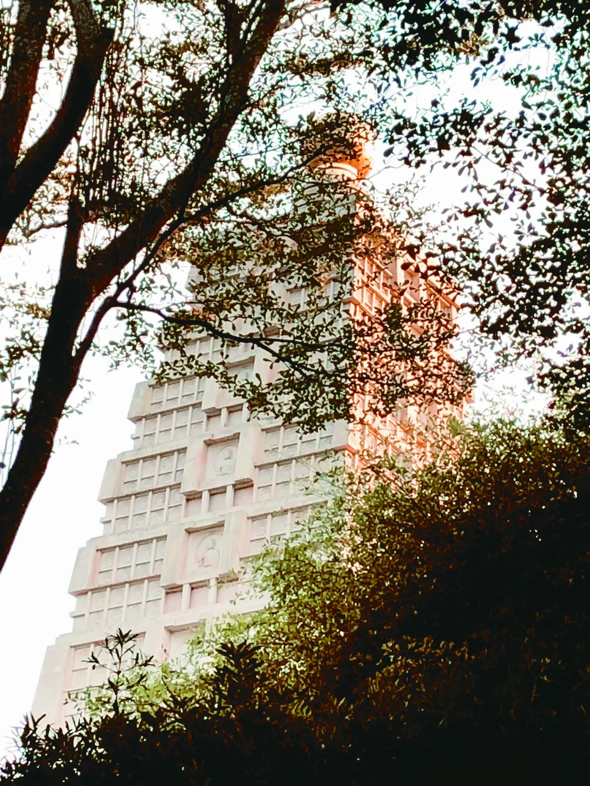 【朗朗晴空】極樂淨土 與佛光淨土