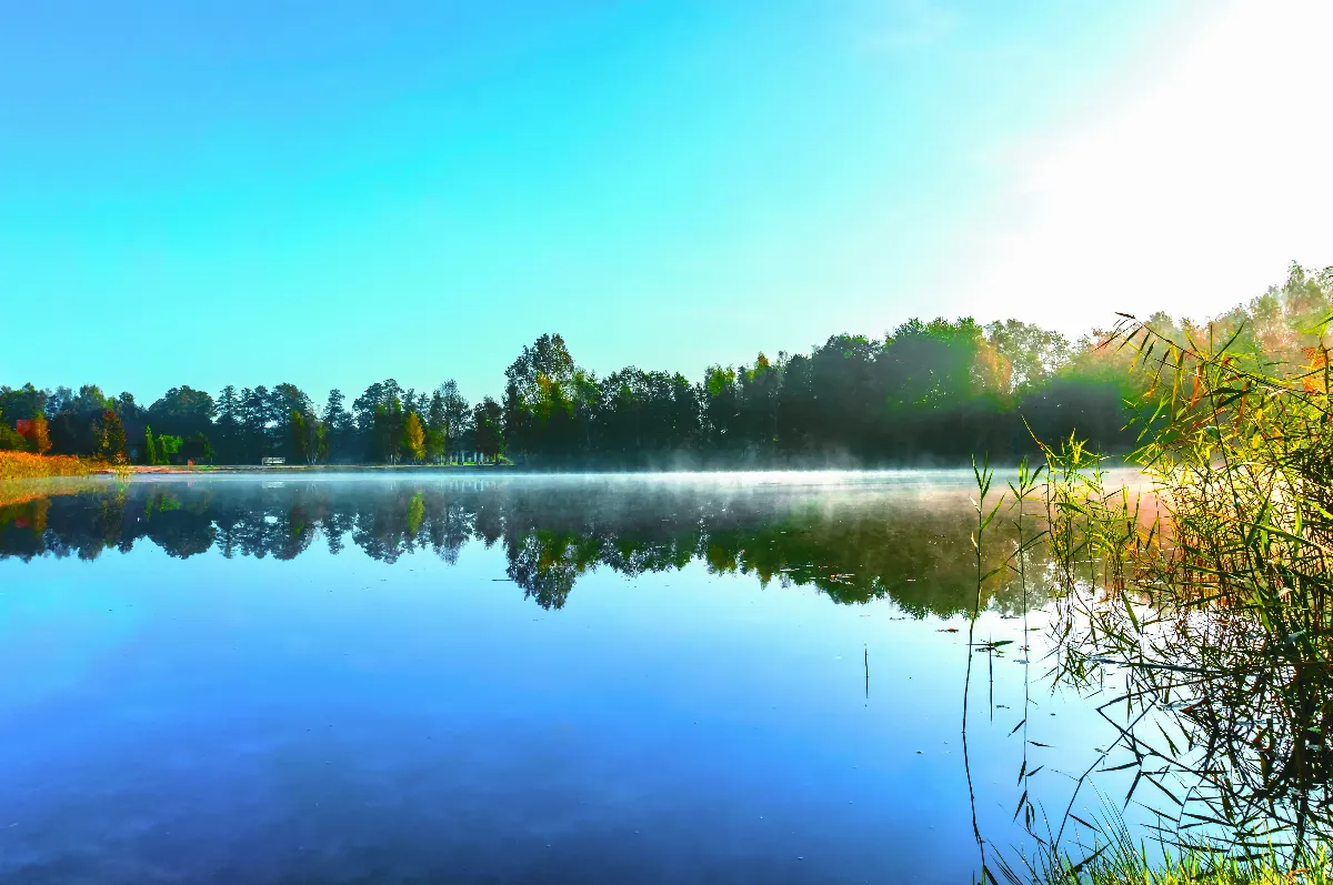 隨堂開示錄─教育講習 59 怎樣做好 一個在家護法居士 2-2