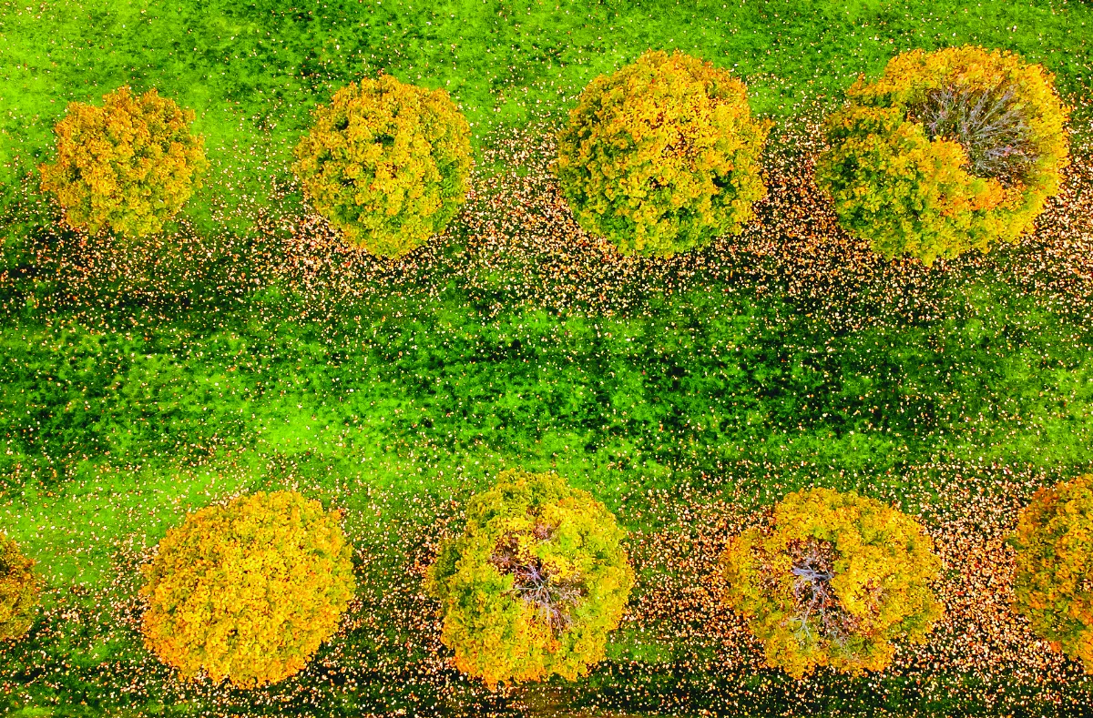 戰火無情 危機四起