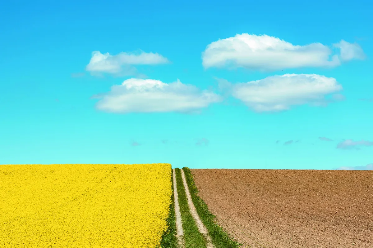 隨堂開示錄─教育講習 60  公是公非 4-3