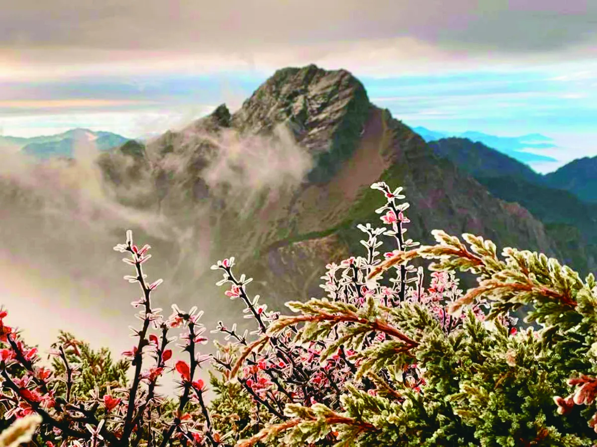 玉山凍雨 美景天成