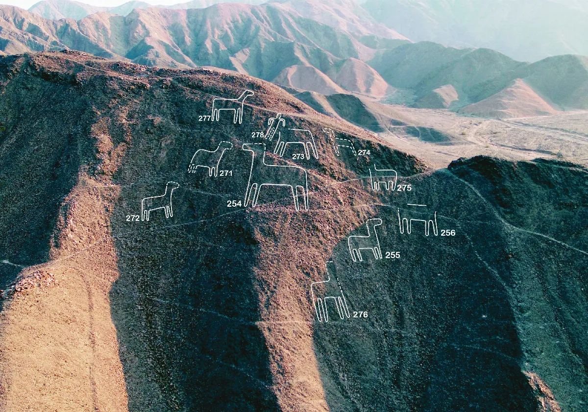納斯卡線地畫 再發現168新圖