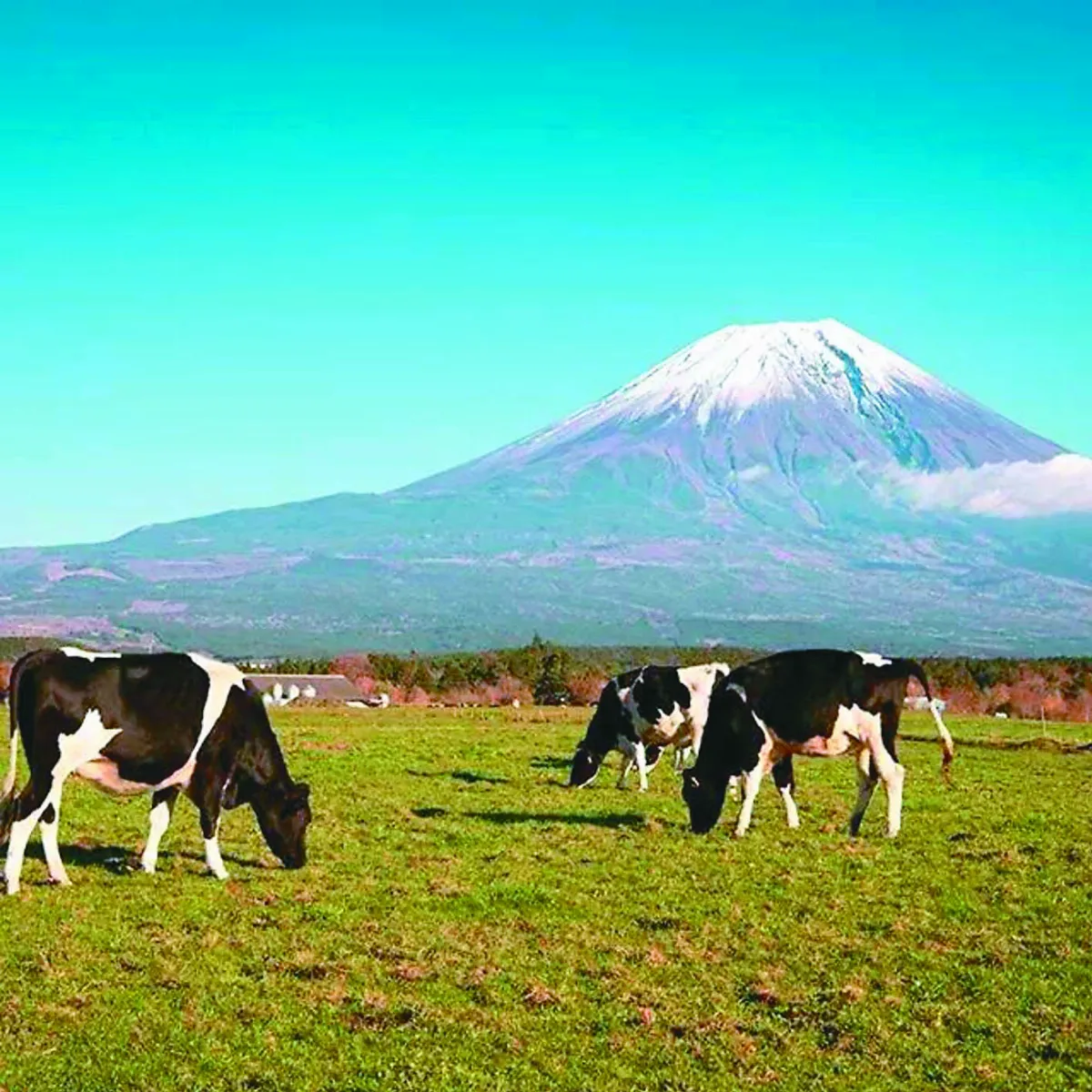 禪定時刻 日攝影師 一輩子一座山