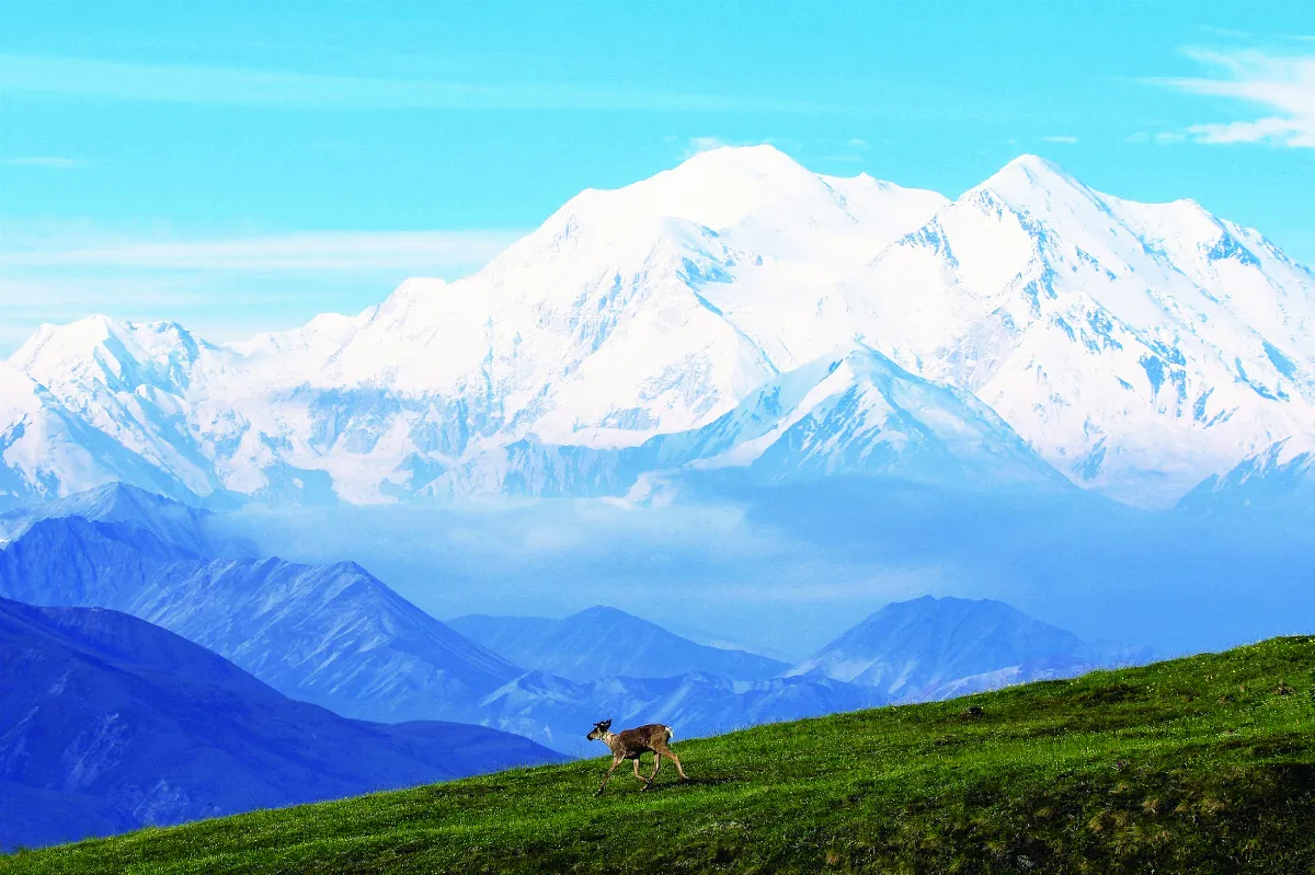 【佛法真義1 佛法義理⑫】十二因緣