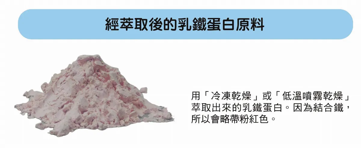 防治新冠病毒 乳鐵蛋白是新利器