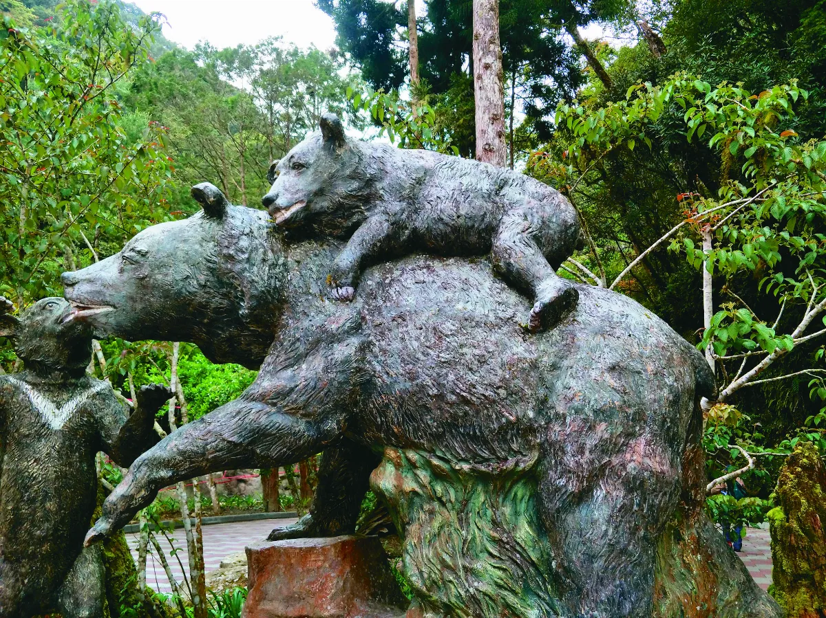 【生活快門】母親的呵護