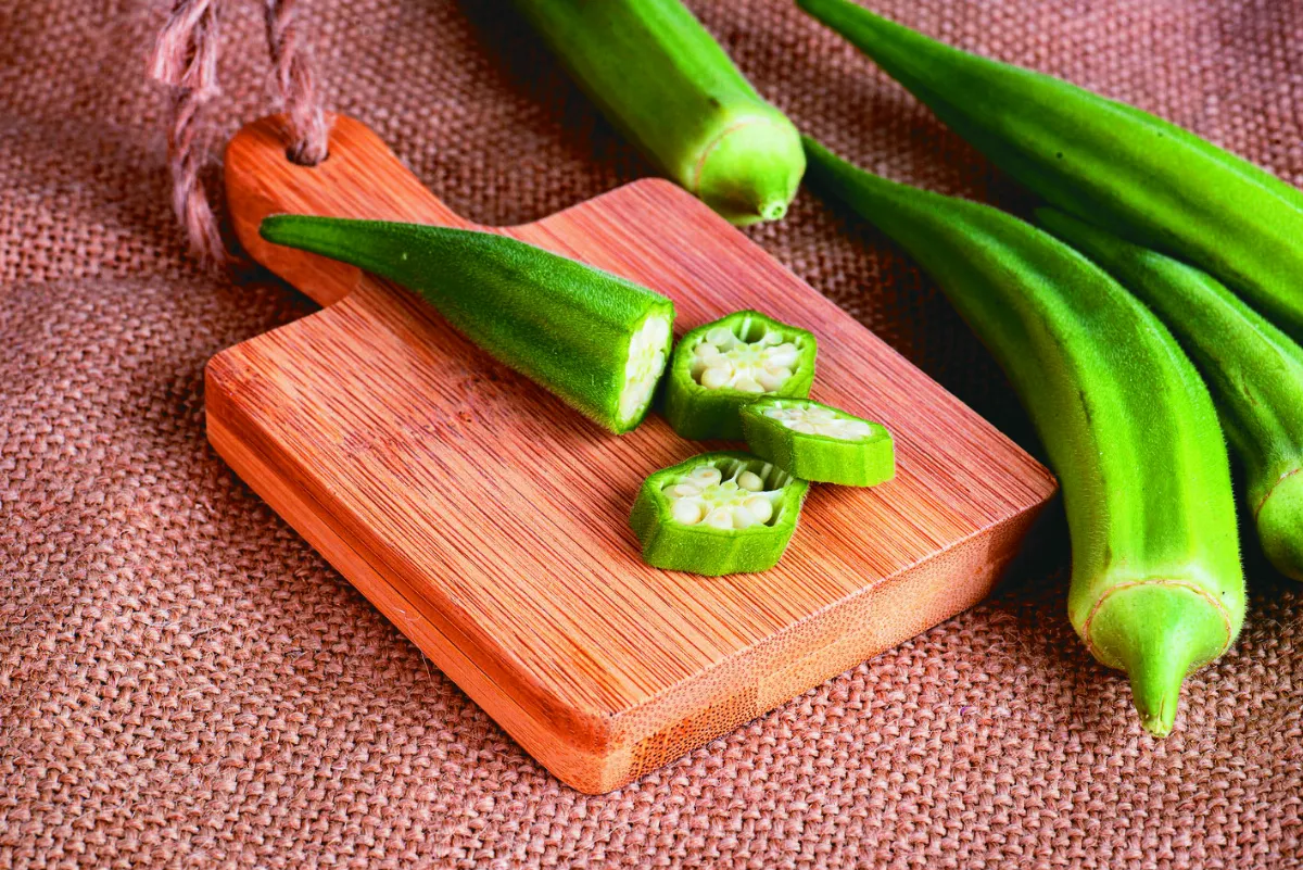 大自然給靈感 秋葵膠水修復傷口