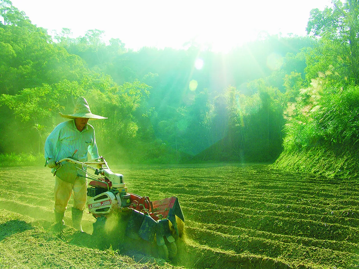 農耕應該要這樣