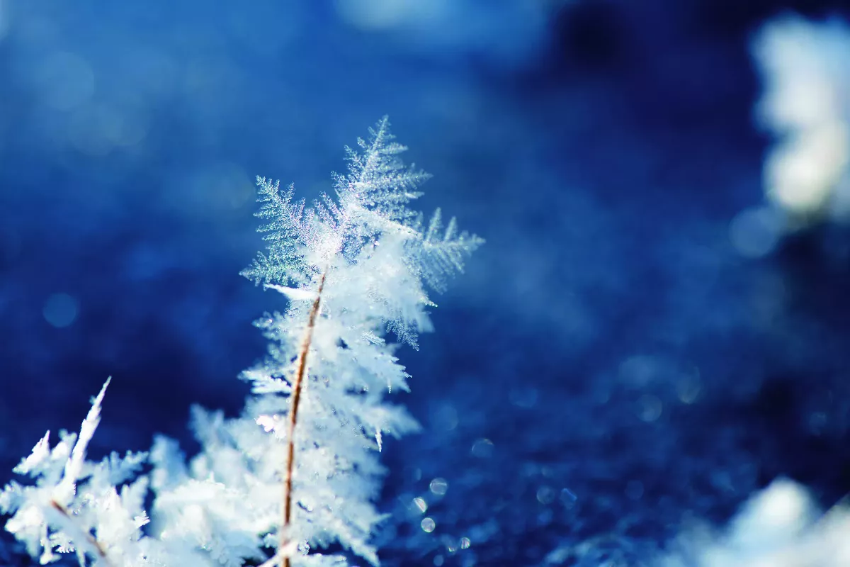 【修行在人間】悟心