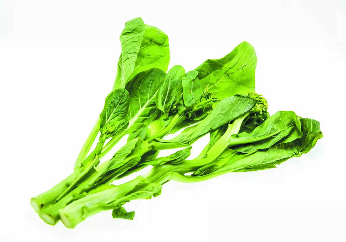 芥菜無所不在