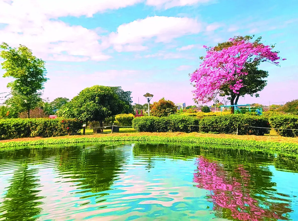 隨堂開示錄─教育講習 65 如是我聞4-2