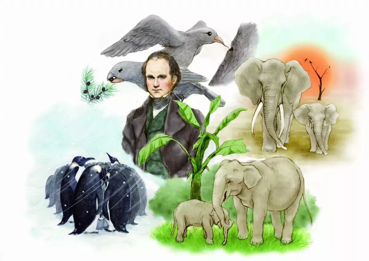 動物為生存改變