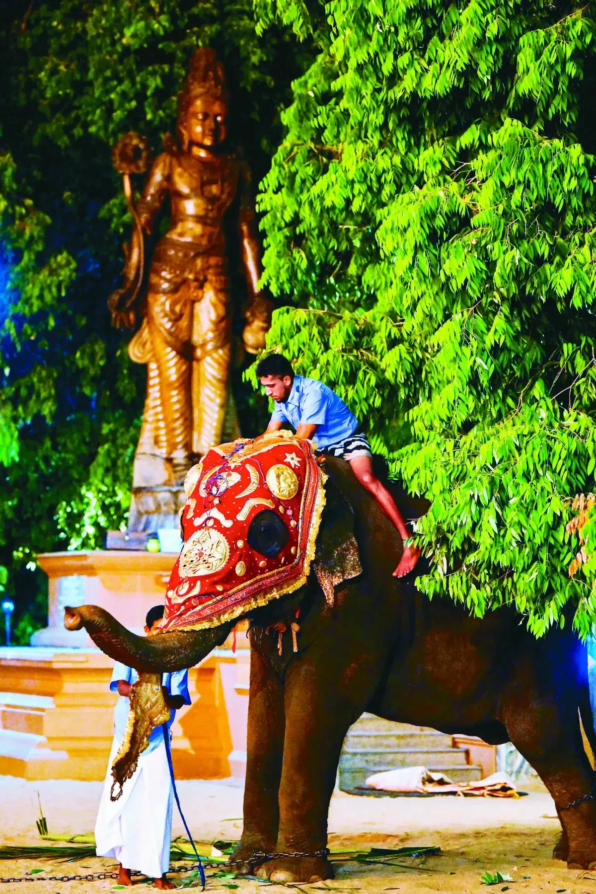 斯里蘭卡佛牙的祝福