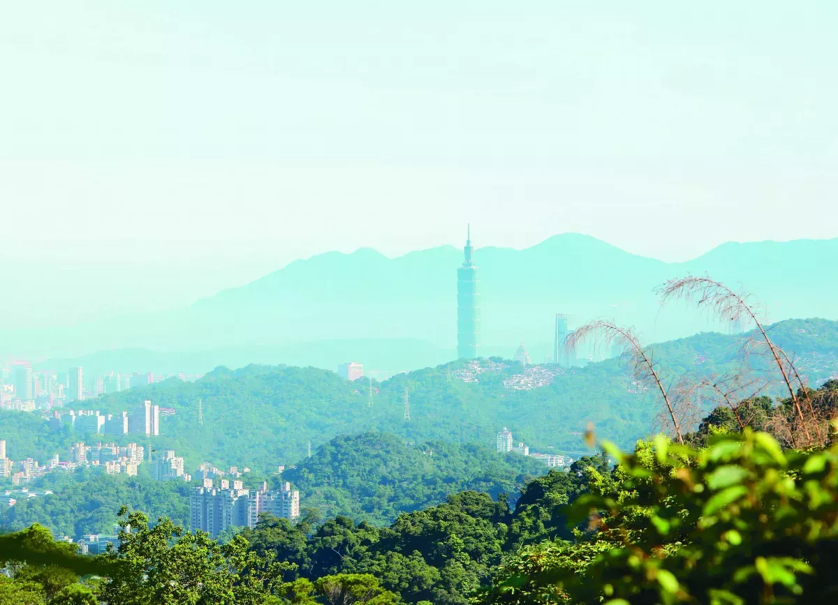 【四季茶香】台北在地農情味