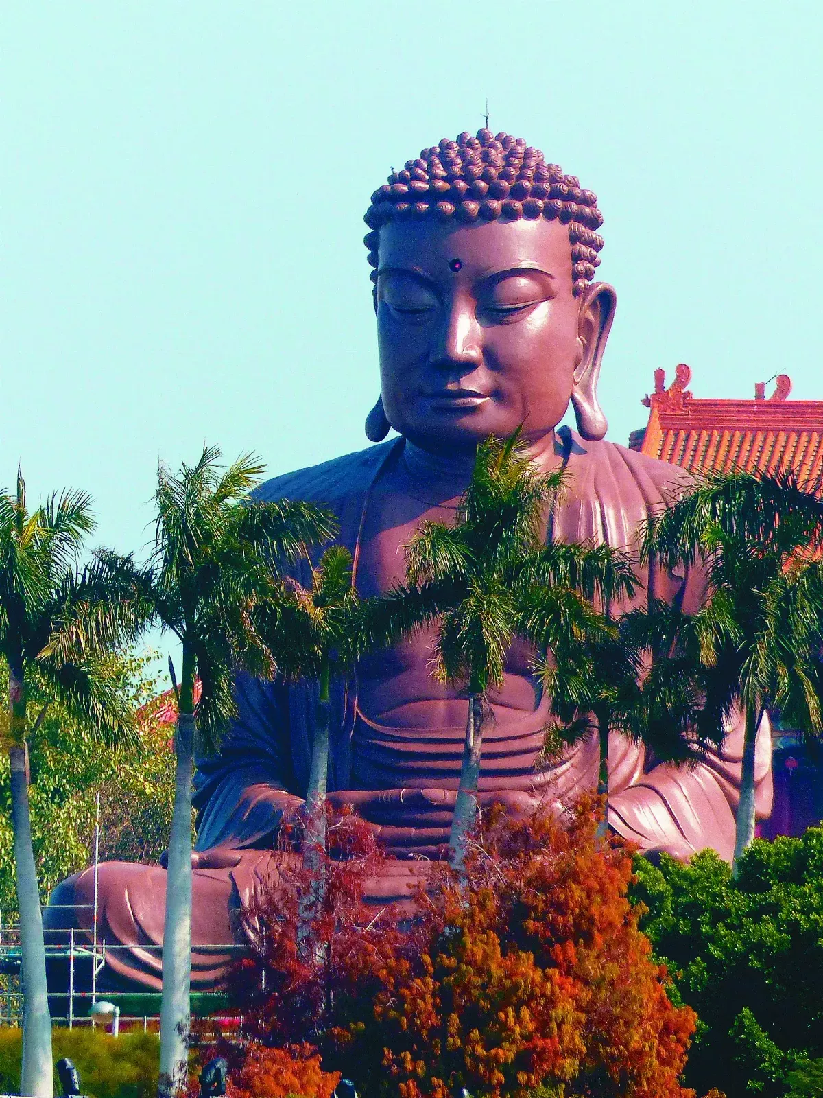 八卦山大佛整修完工 重新亮相 