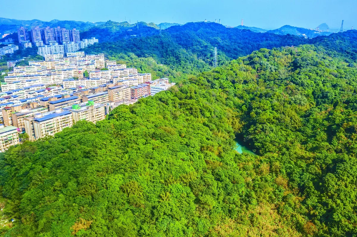 藏身基隆密林 獅球湖超像台灣