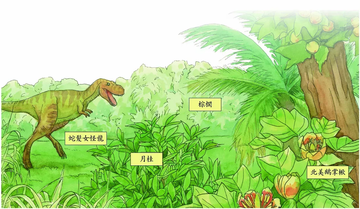世界最早之花