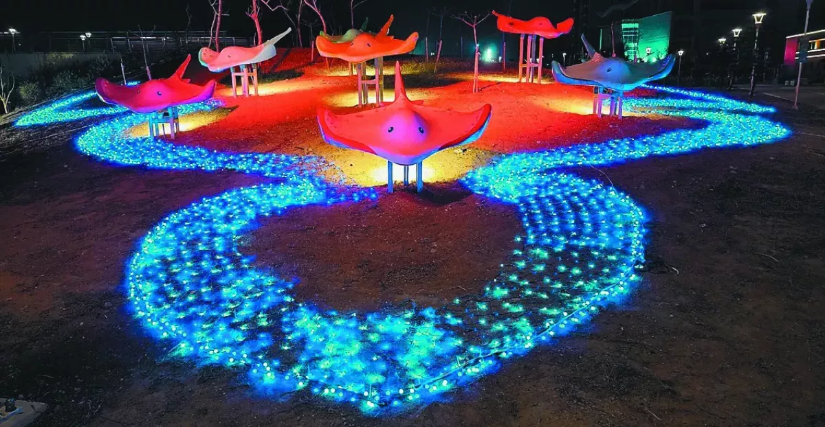 澎湖迎春 如魚得水