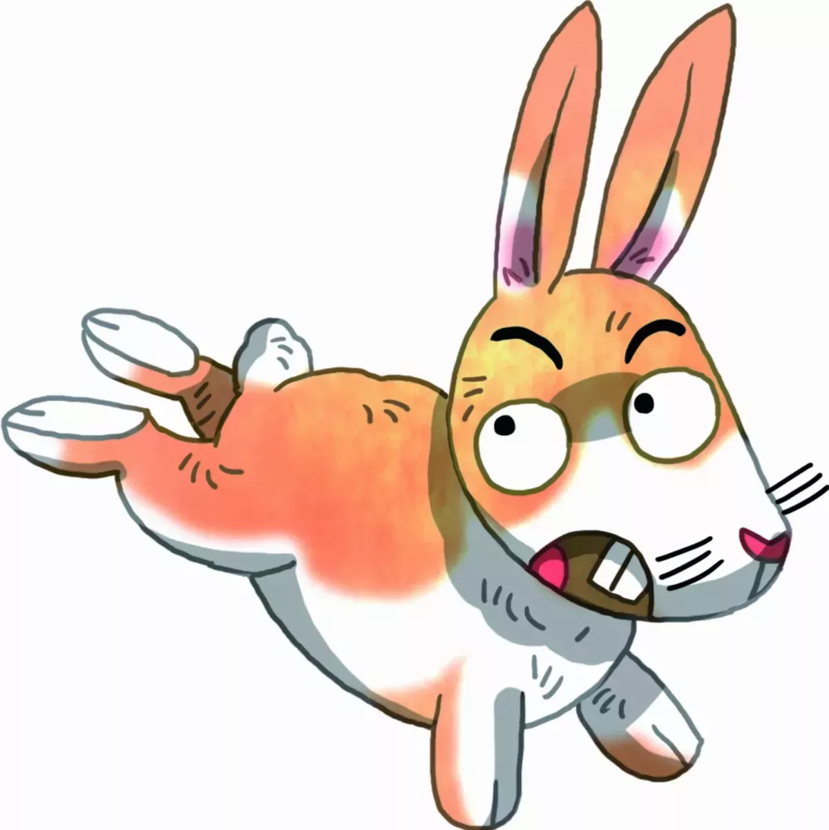 兔年話兔 靈兔不凡六徵 