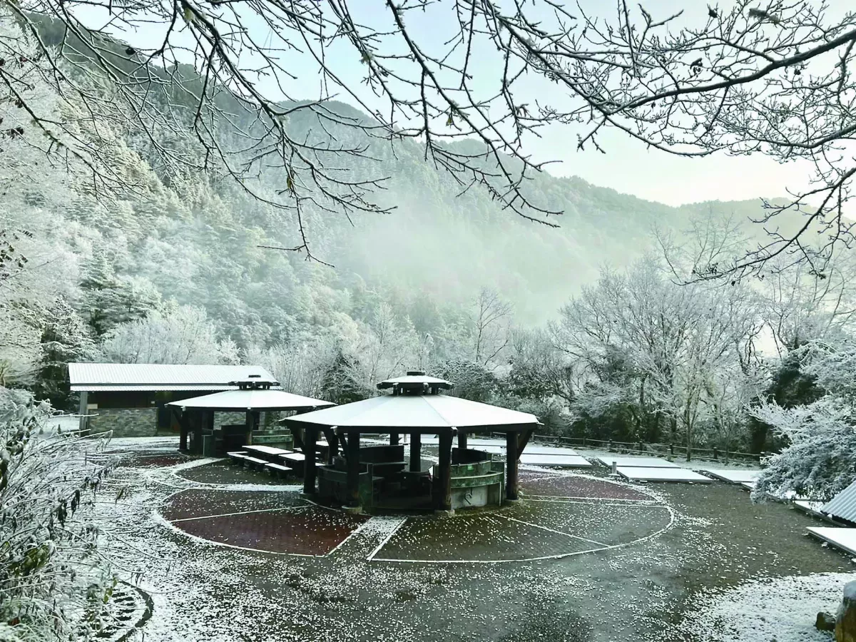 絕美銀白世界 太平山 0℃迎春