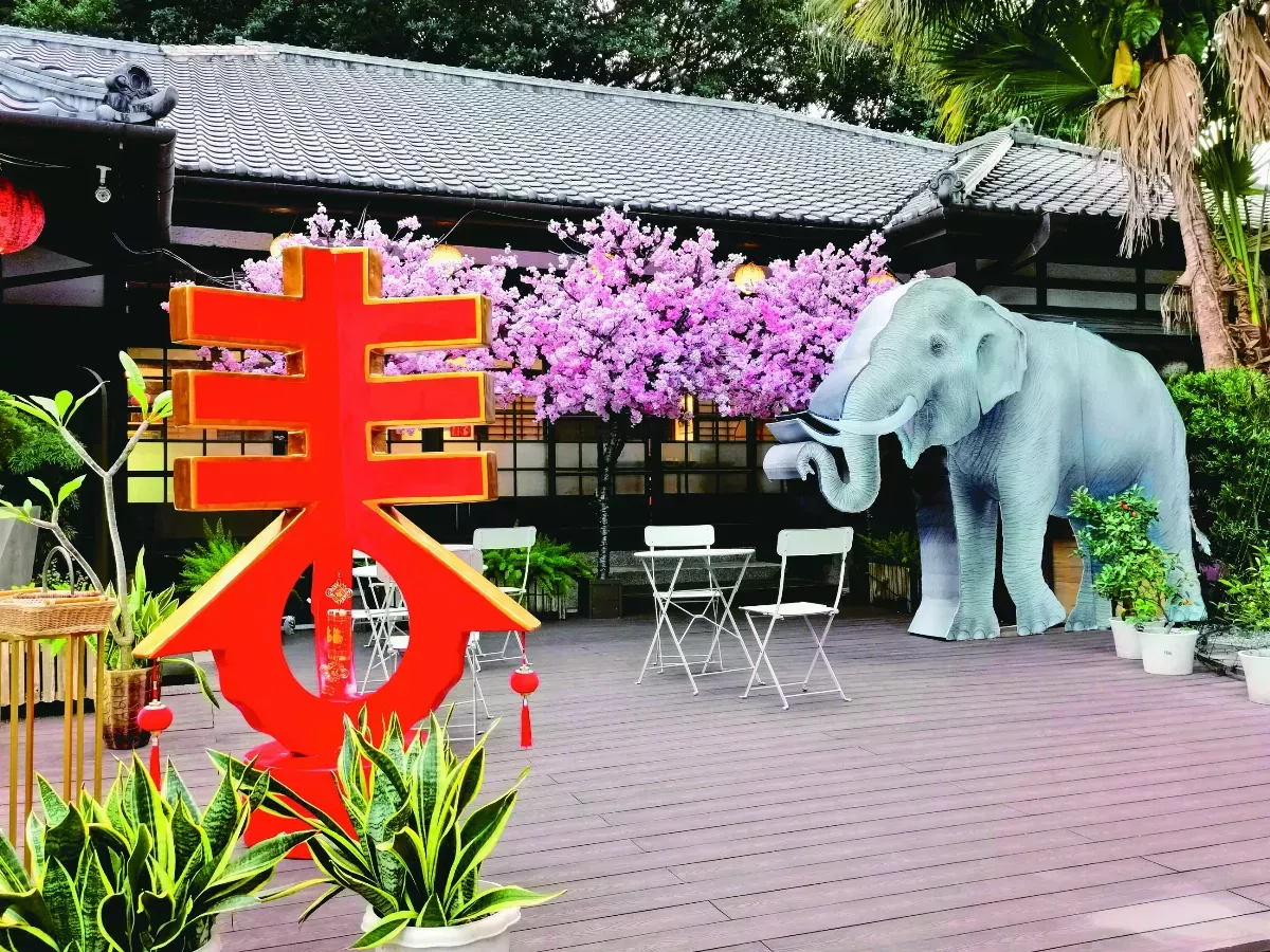 林旺拜年