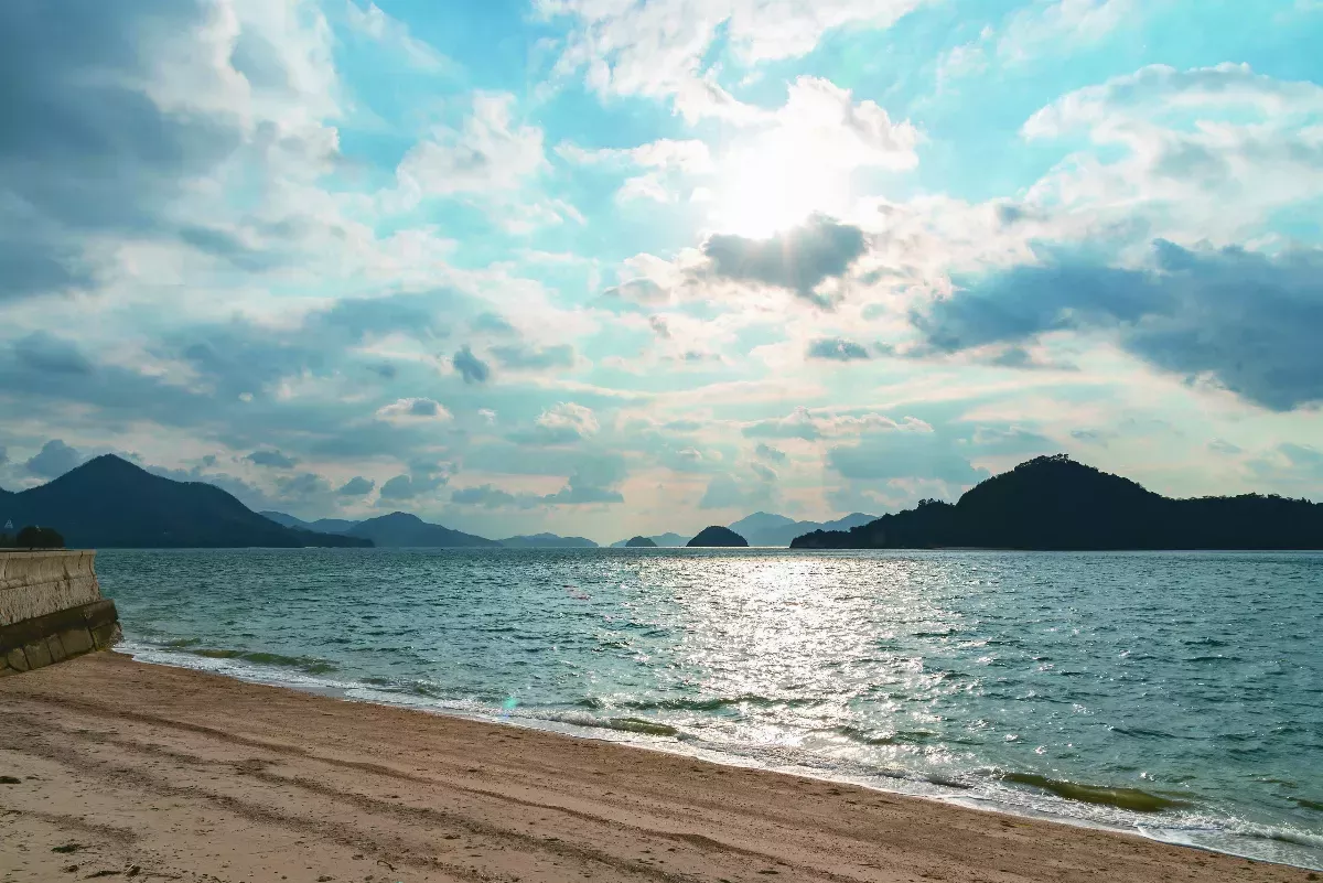 大久野島 野兔因疫情折損過半