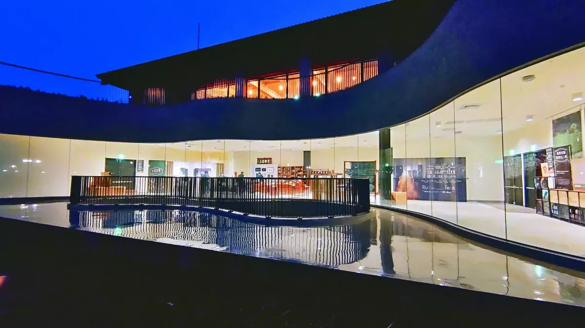 桃園．龍潭 蝶翼翩翩魯冰花 石門水庫龍泉茶