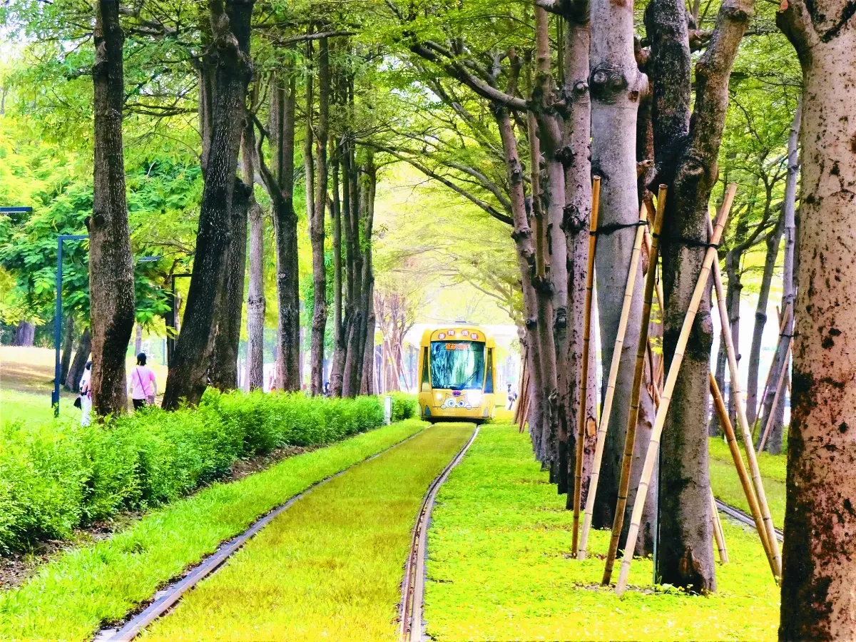 【生活快門】輕軌隧道超吸睛