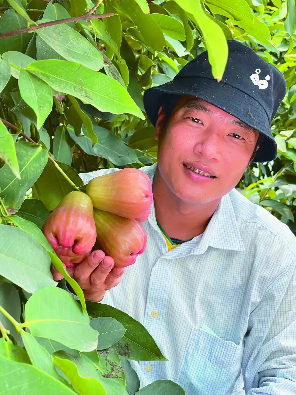 【夢想田園】遊戲果子玩家
