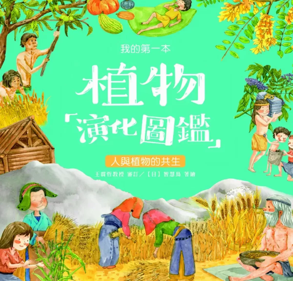 食物中禾穀類