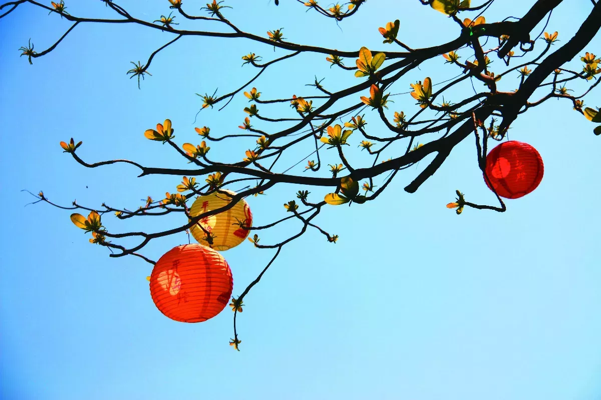 星雲大師全集 115 隨堂開示錄教育講習 68 如何做個如法的出家人 7-6