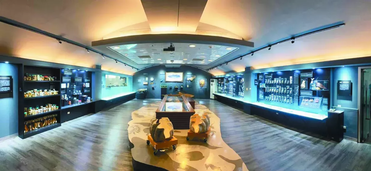 海生館遊客禁區  邀您看個夠