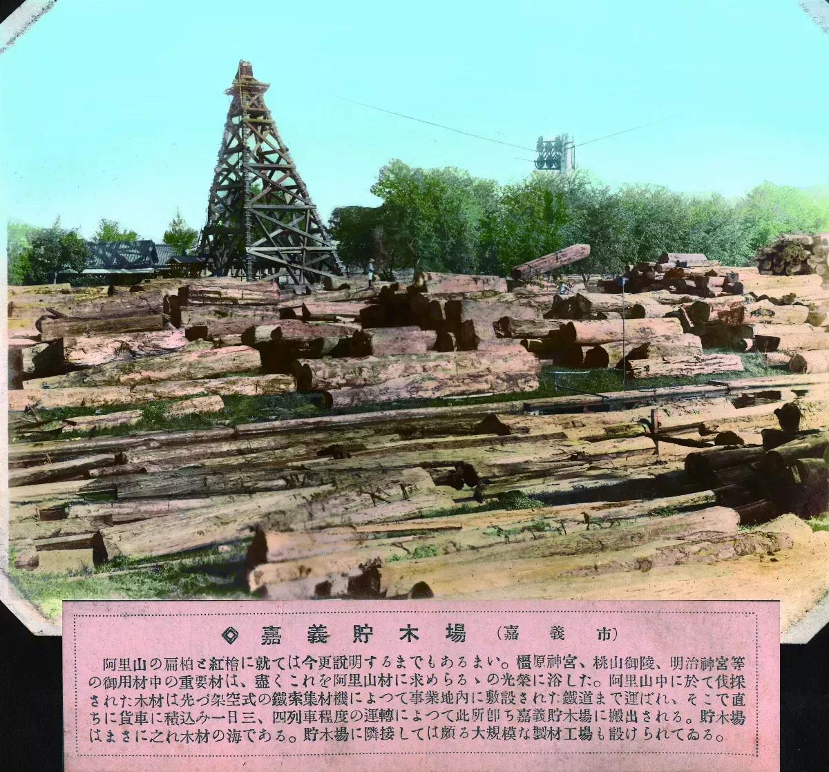 【時光走廊】福星台灣：台灣物產生態大觀 ( 16-7）日本殖民：伐木    