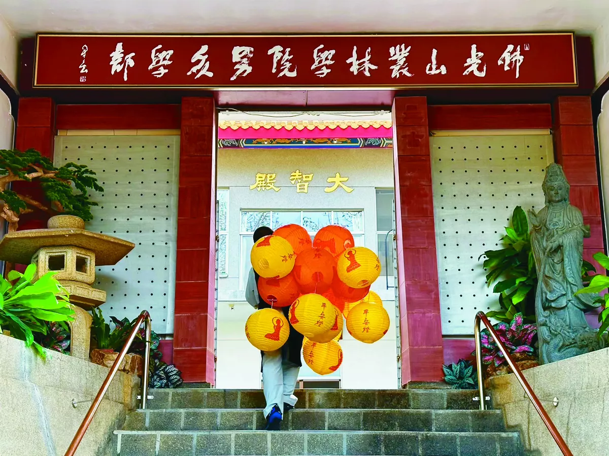 【叢林風光】成為更好的自己
