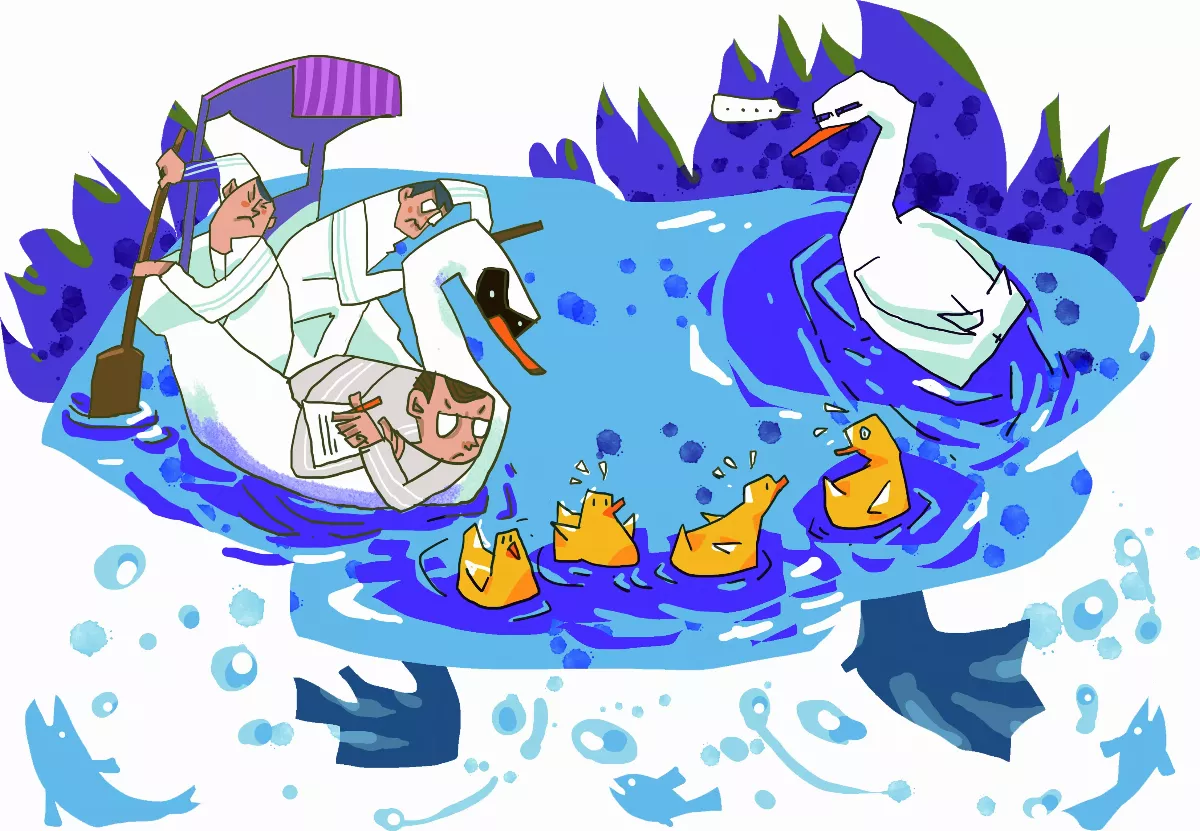 鴨子 懂划水物理學