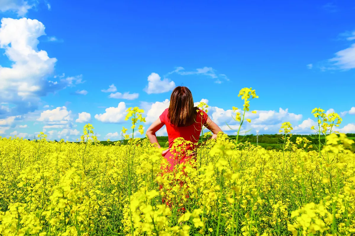 【悅讀人生】故友阿魯