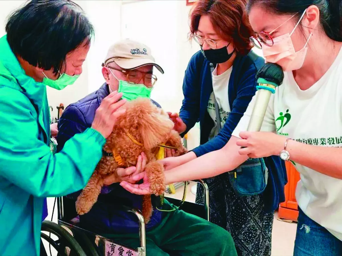 延緩失智症狀 治療犬來助