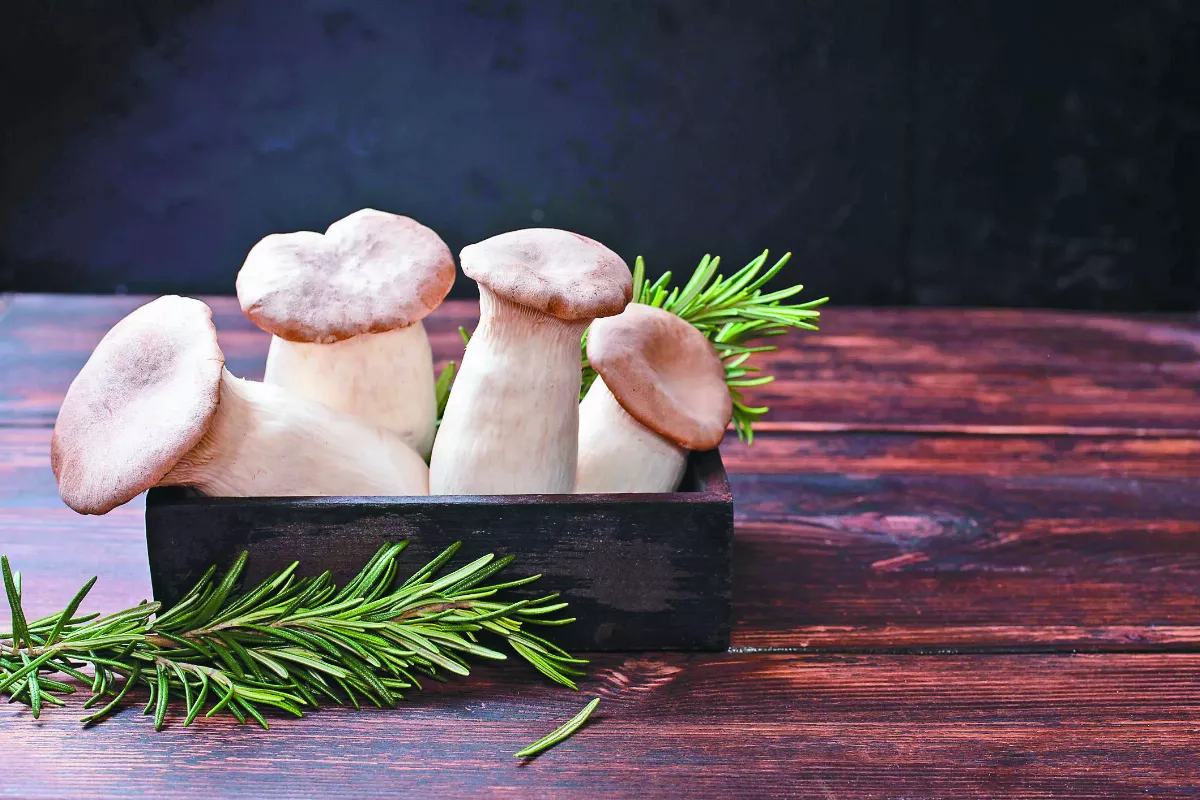 雨水養生調養脾胃 過敏性鼻炎不上身