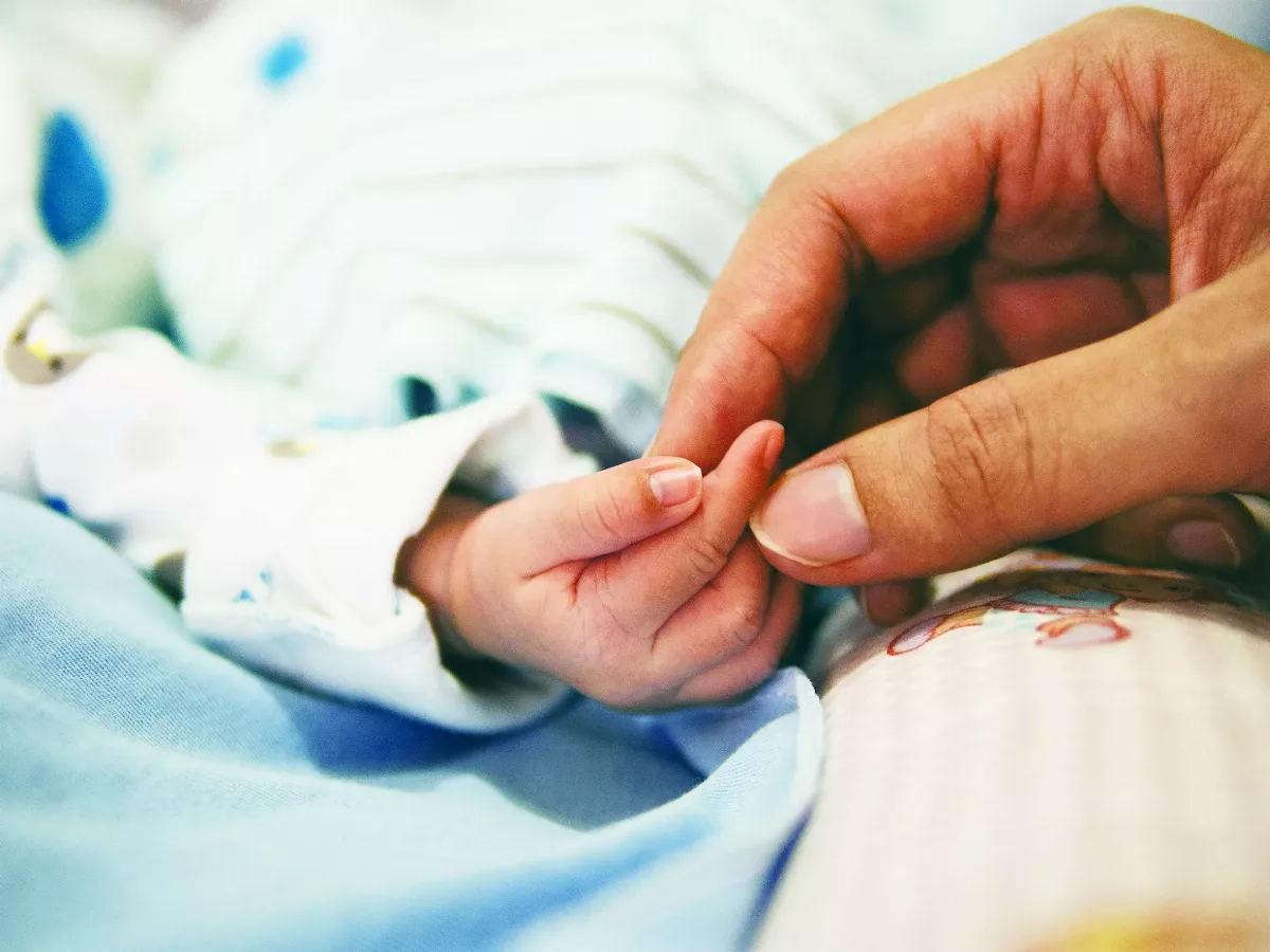 【佛法真義1  佛法義理  ㉔】老病死生