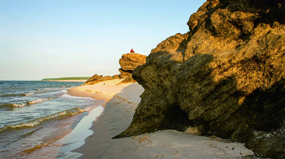 生命影響生命