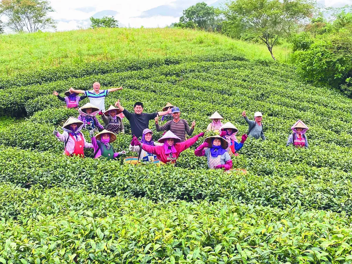 女農當家 六十石山 天空小舖