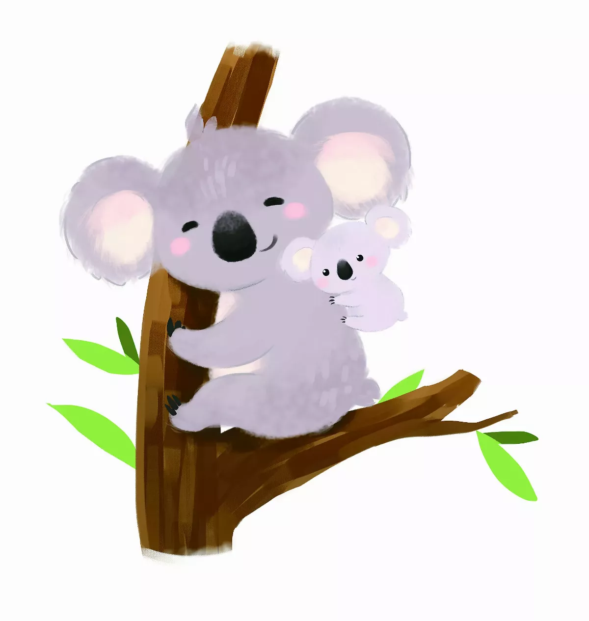 【趣味動物園】懶洋洋的動物明星無尾熊