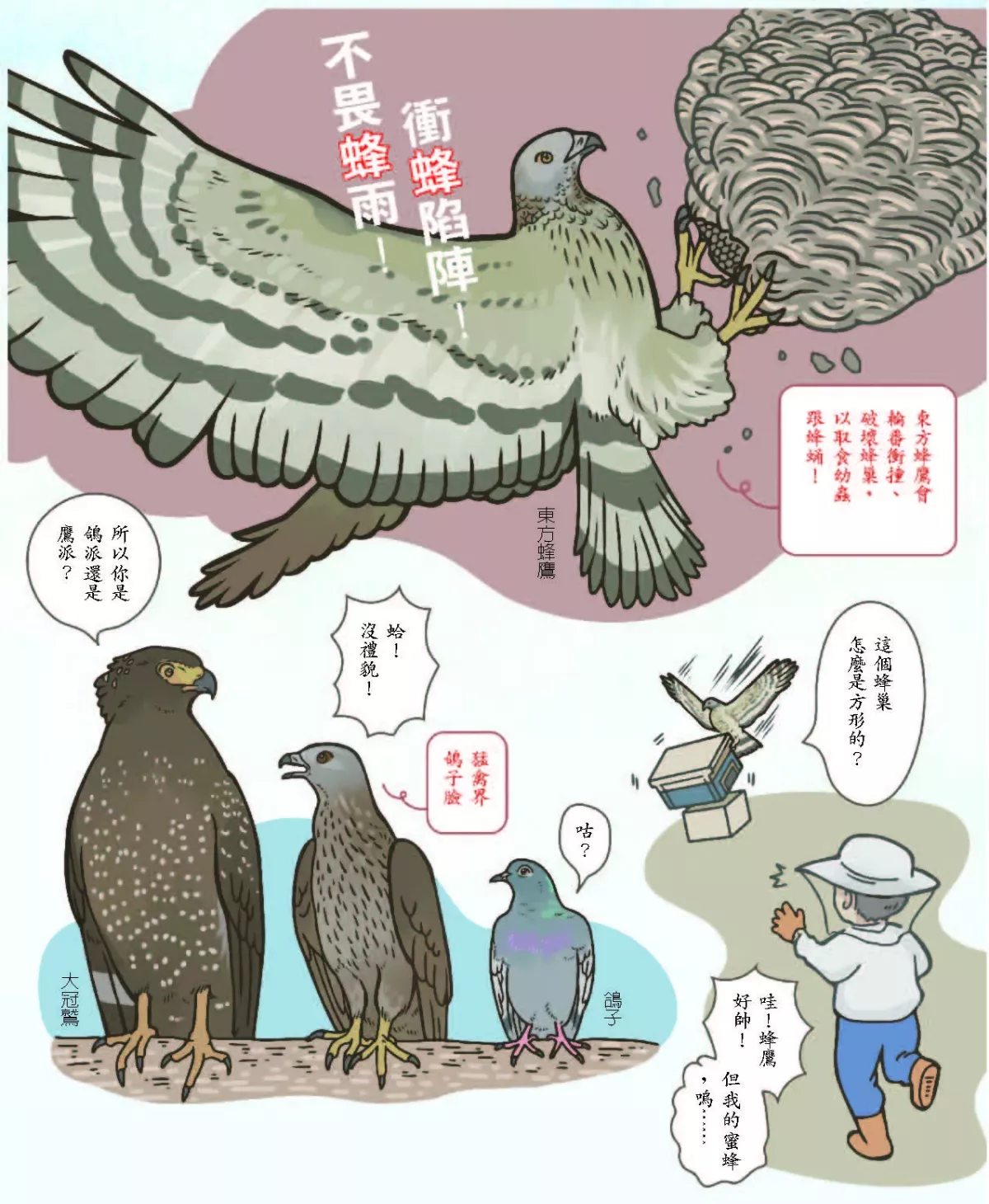 【玉子手札】衝蜂陷陣東方蜂鷹