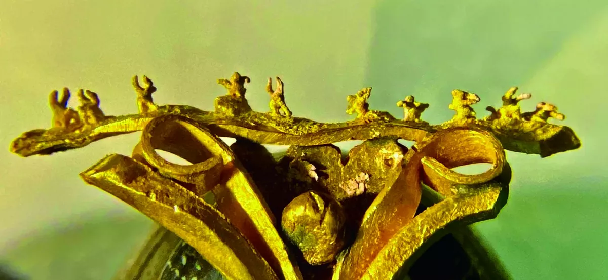 【時光重逢】金兔呈祥毫芒間