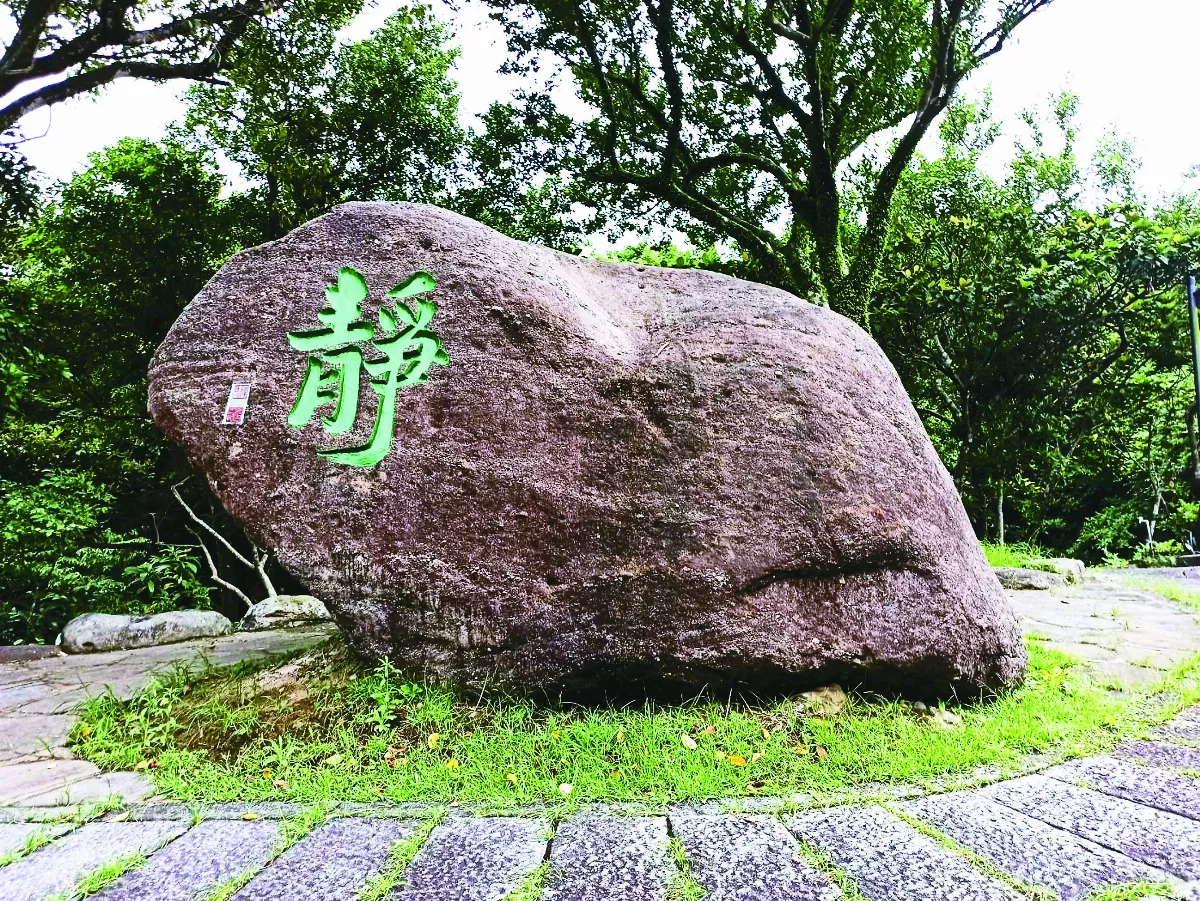 【生活快門】靜聲淨心