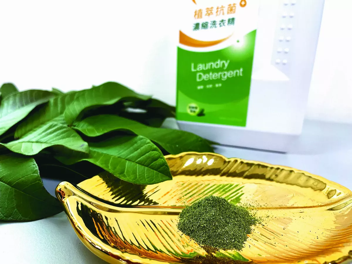 芭樂葉華麗變身洗衣精