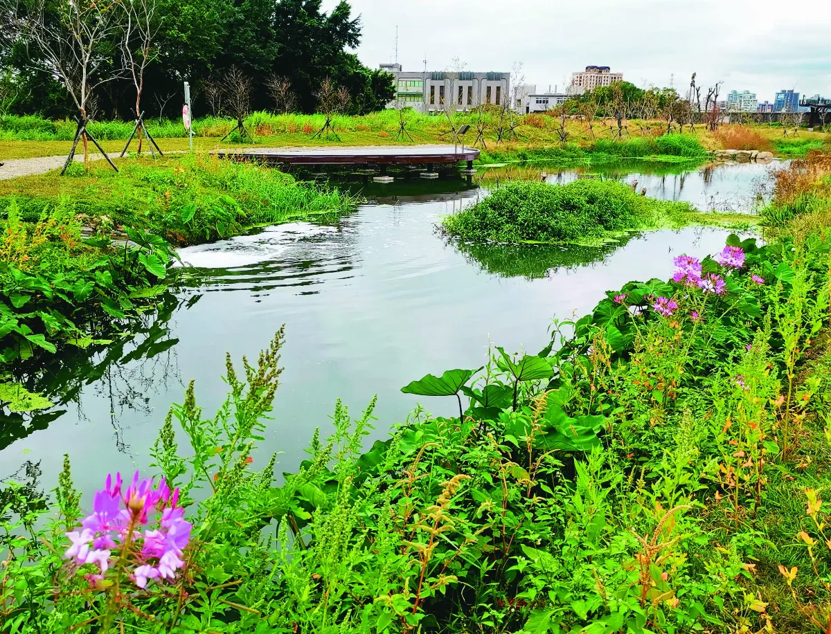 【走讀城鄉】雙溪溼地公園