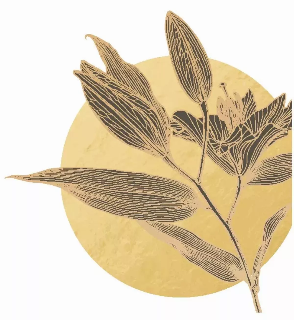 悼念我的師父 願承師志 成為點燈的人